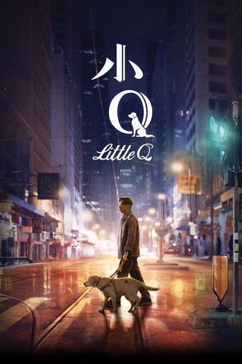 小Q (Little Q)