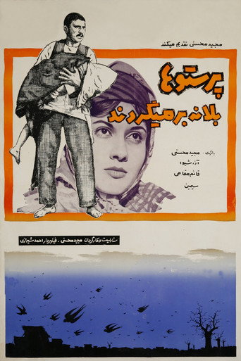 پرستوها به لانه برمی‌گردند (Parastuha be laneh barmigardand)