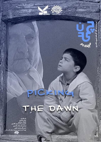 چیدن سپیده دم (Picking the Dawn)