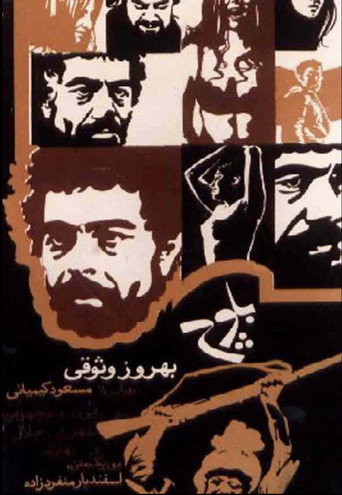 بلوچ (Baluch)